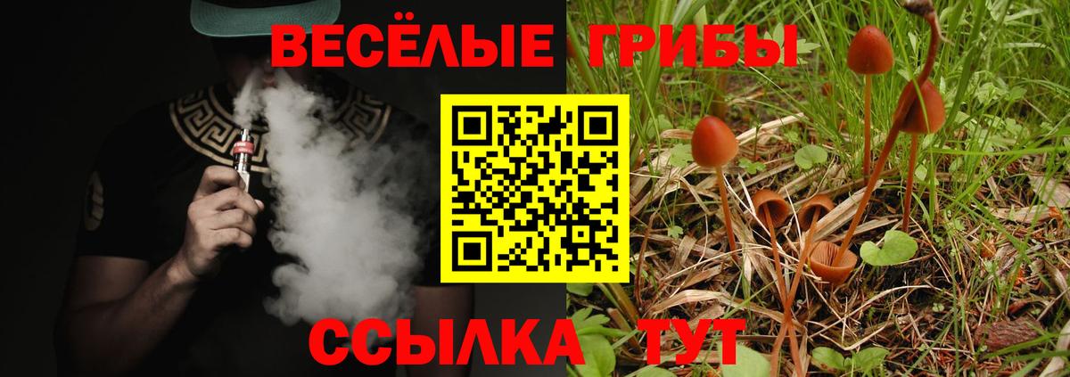 Галлюциногенные грибы прущие грибы Ейск