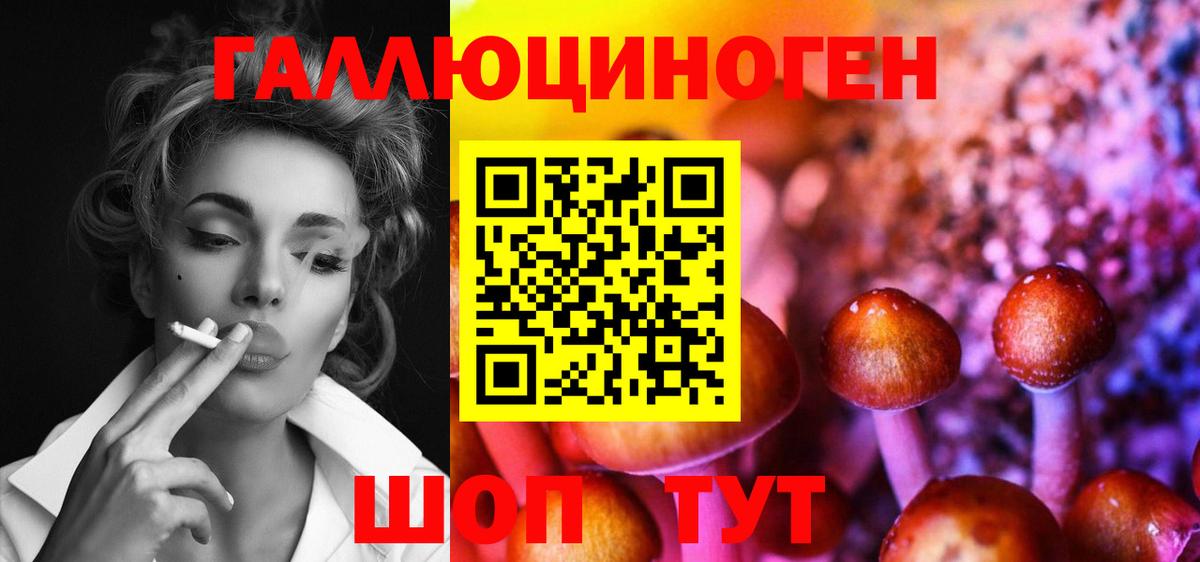 Галлюциногенные грибы Magic Shrooms  Вход с VPN  как найти   Ейск 